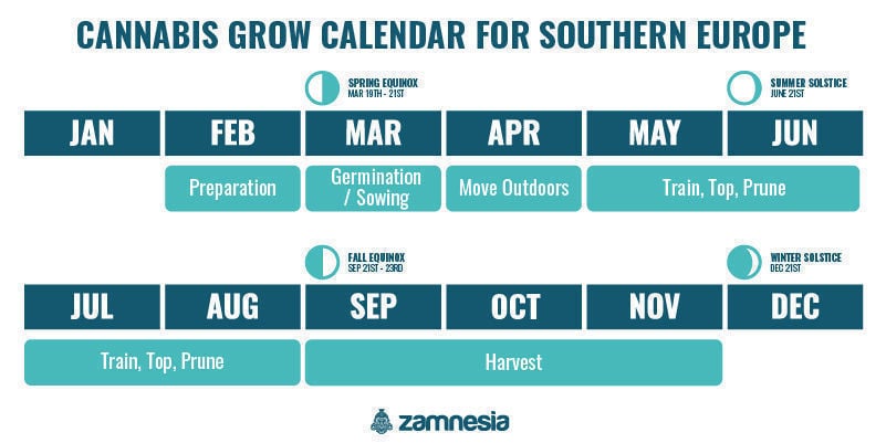 Cannabis Grow Calendar For Europe - Zamnesia UK